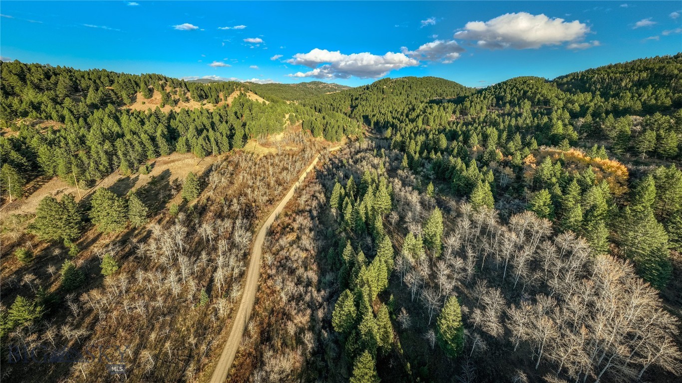 495 Moffit Gulch Road