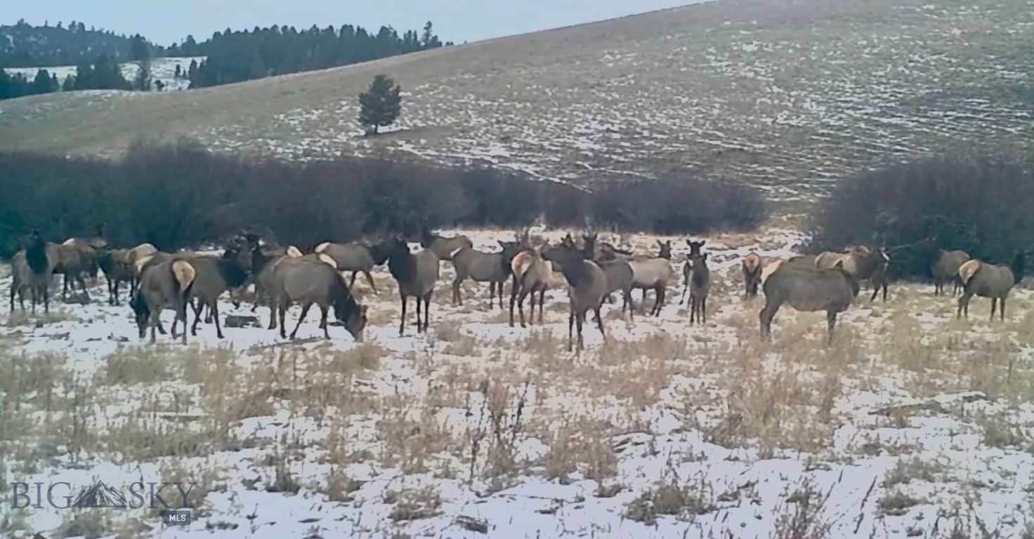 nhn RV Ranch Buckmaster Holding